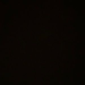 Meet your Posher, Travis